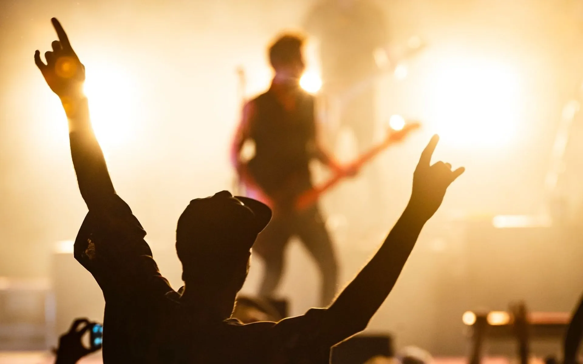 Crowd at a concert