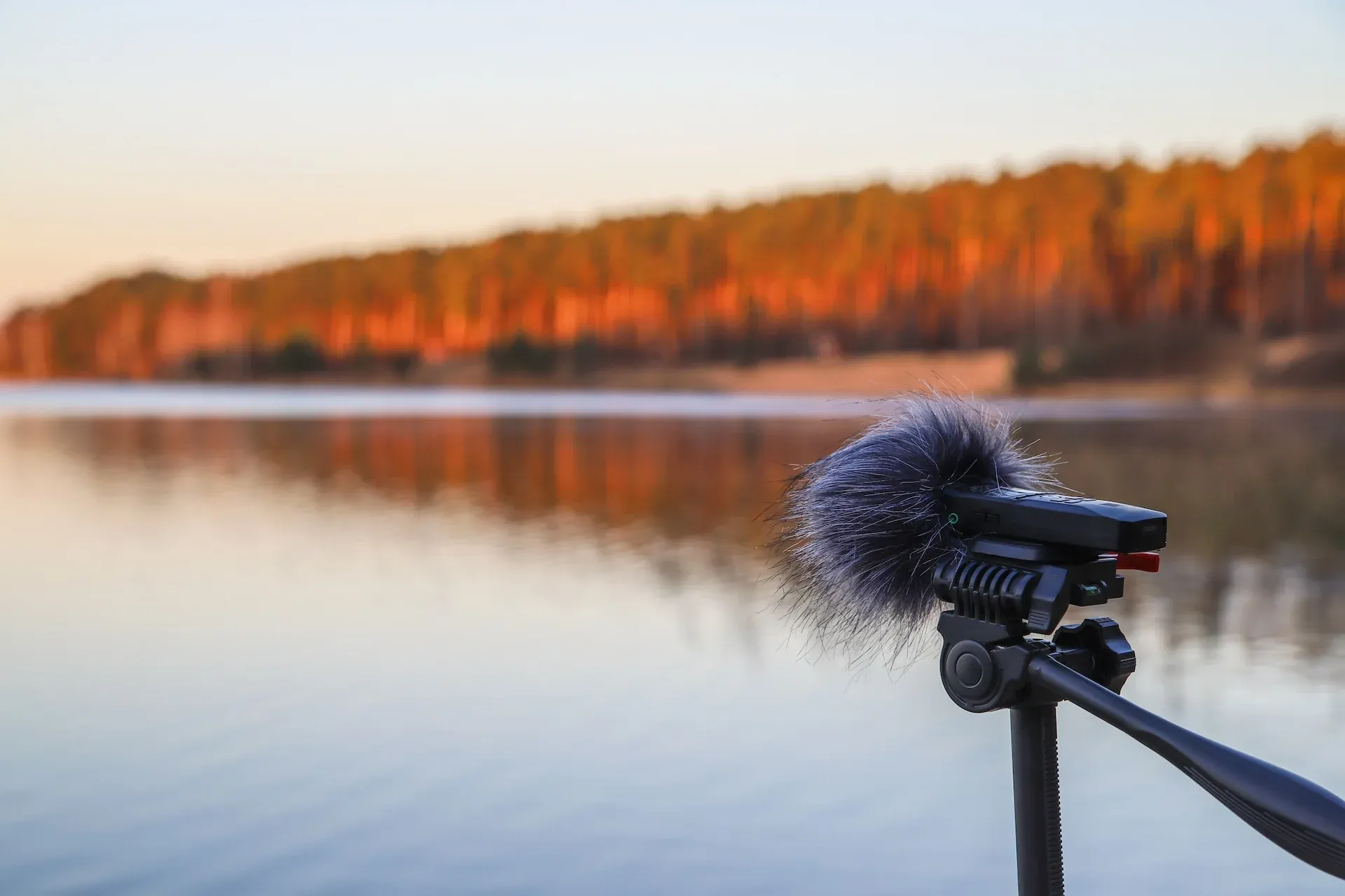 Field recording