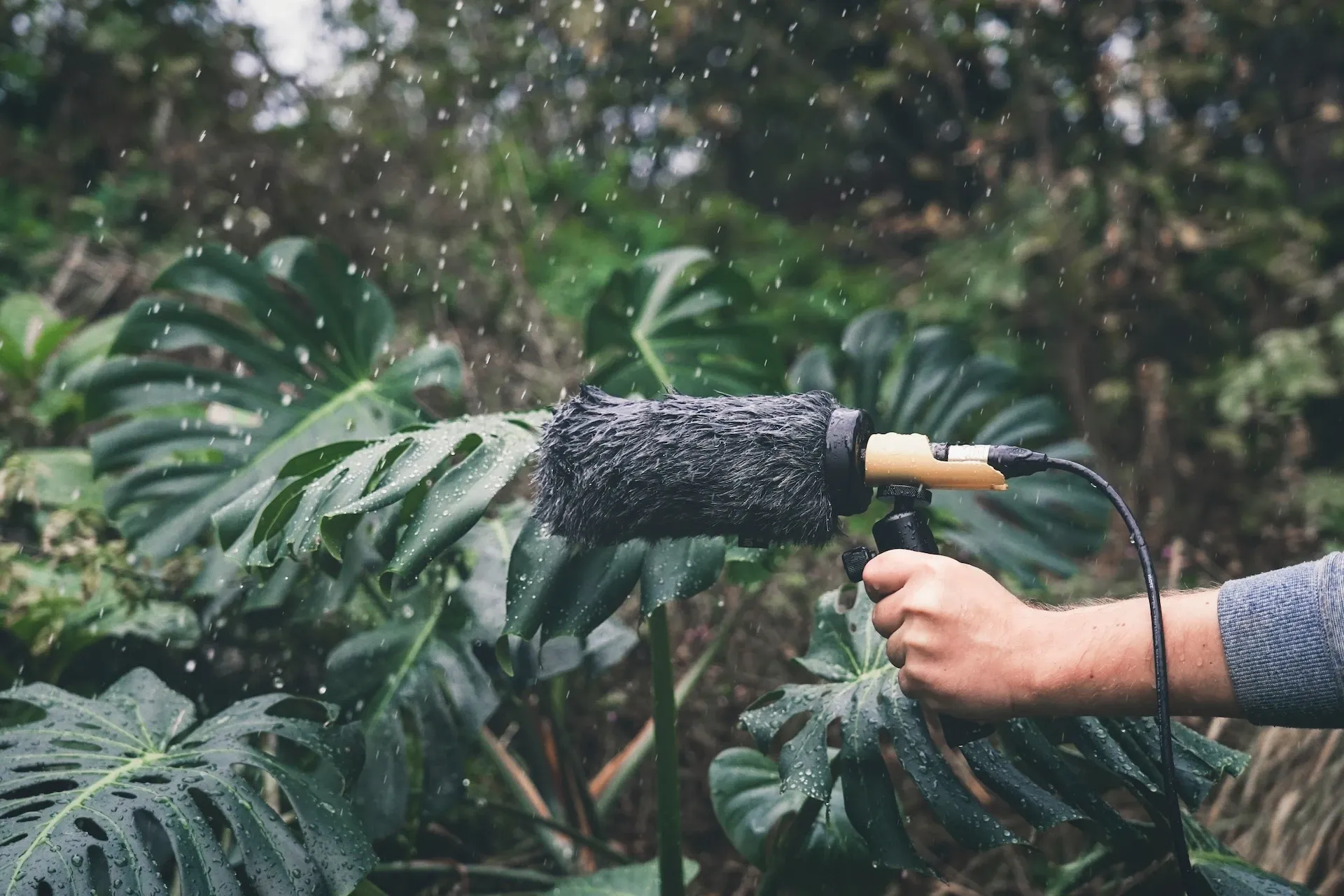 Recording rain